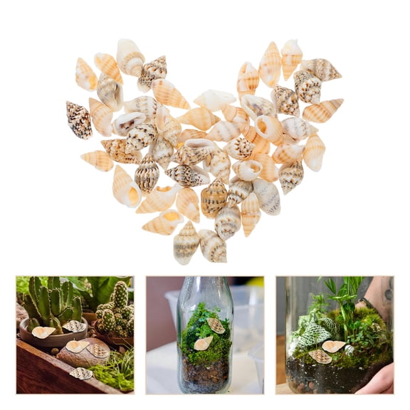 Milisten Realistic PVC Shells Assorted Colors for DIY Crafts and Home Decor 50Pcs