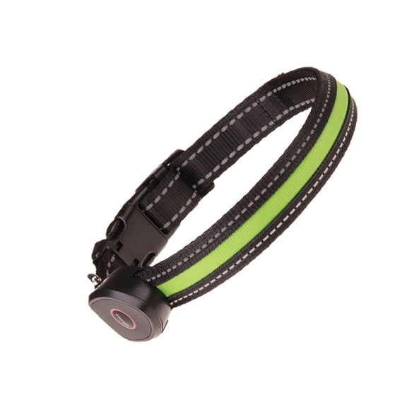 Milisten Adjustable USB Rechargeable LED Pet Collar in Green for Evening Walks and Outdoor Use