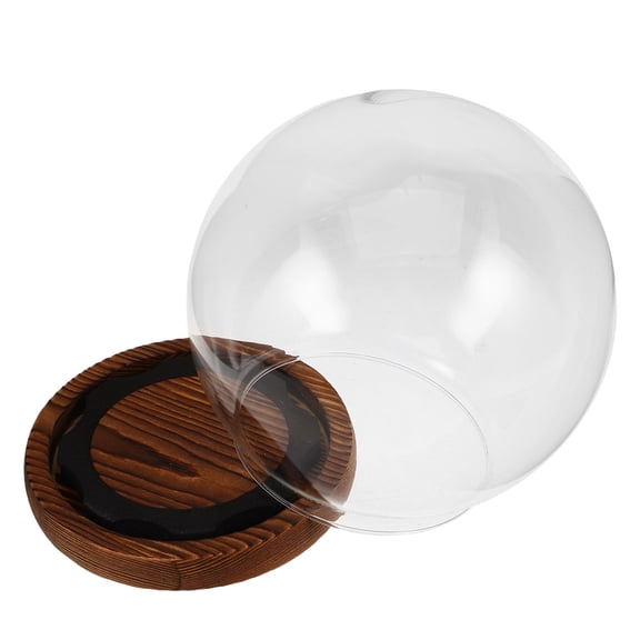 Milisten Transparent Glass Dome with Base for Decoration Secure Flower Preservation and Elegant Ornament Display Case