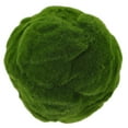 thumbnail image 1 of TEHAUX Decorative Simulated Moss Spheres for Home, Bowl, Vase, and Tabletop Decor, 1 of 8
