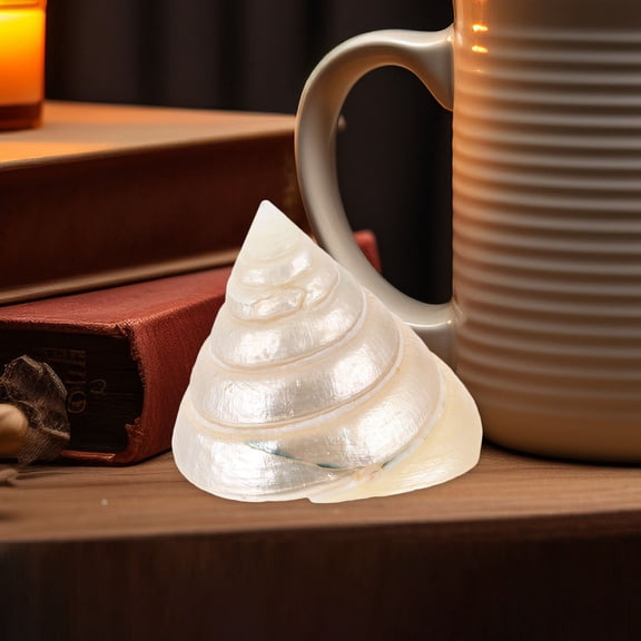 Milisten Natural Beige Conch Ornament for Aquarium Shell Craft and Indoor Desktop Decor