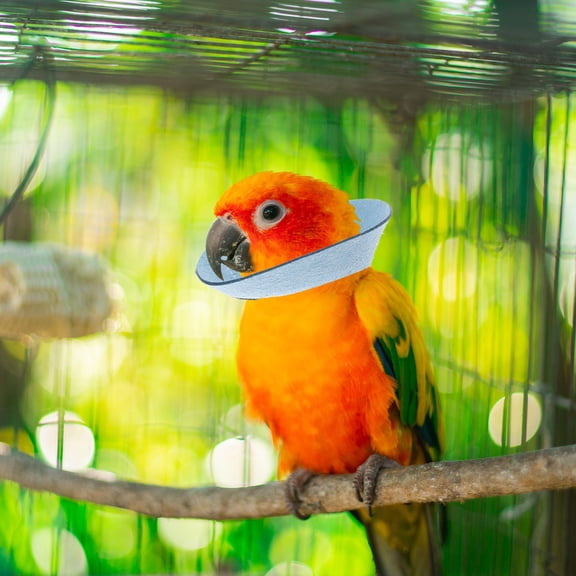 Milisten Sky- Microfiber Parrot Anti-Bite Collar for Bird Comfort and