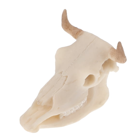 Milisten Western Fish Tank Decorations Resin Skull White Aquarium Decor for Home 1 Piece