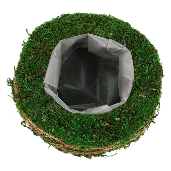 Milisten Moss Planter Round Planter Green Iron 1Pcs
