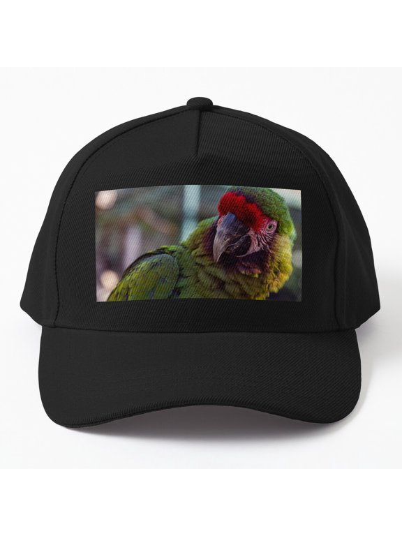 Military Macaw Baseball Cap, Expressive Close-Up Bird Character Design, Classic Hat