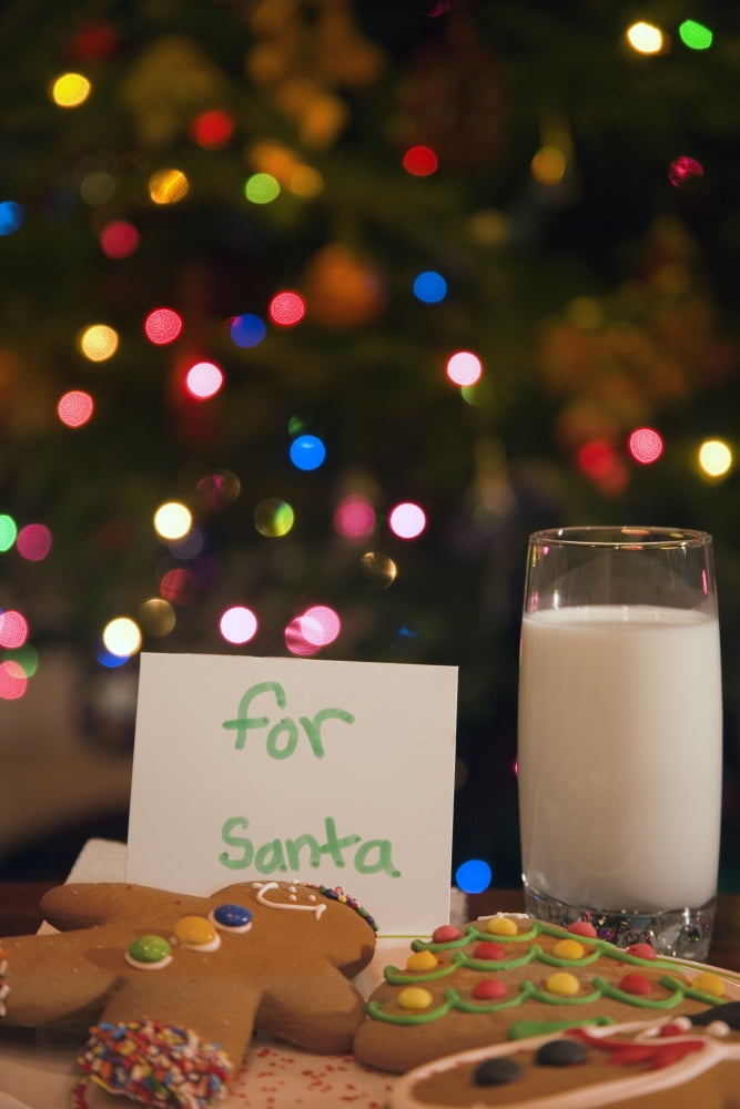 Milk And Cookies For Santa Canvas Art - Carson Ganci Design Pics (11 x 17)