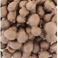 thumbnail image 1 of Milk Chocolate Double Dip Covered Peanuts Candy (2 Pound Bag), 1 of 6
