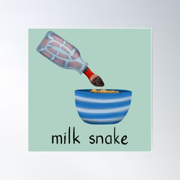 Milk Snake Poster Wall Art, Modern Wall Decor For Living Room Bedroom, 16x16 UNFRAMED