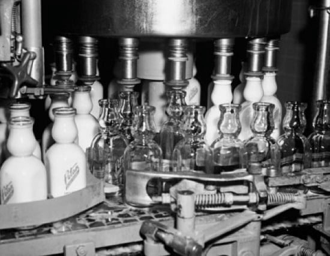 Milk bottles filling at a bottling plant Canvas Art - (18 x 24)