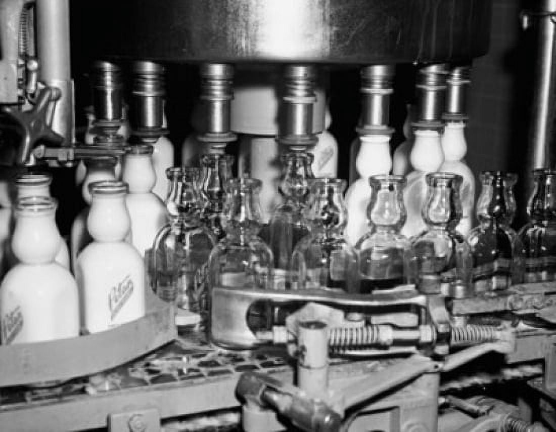 Milk bottles filling at a bottling plant Canvas Art - (24 x 36)