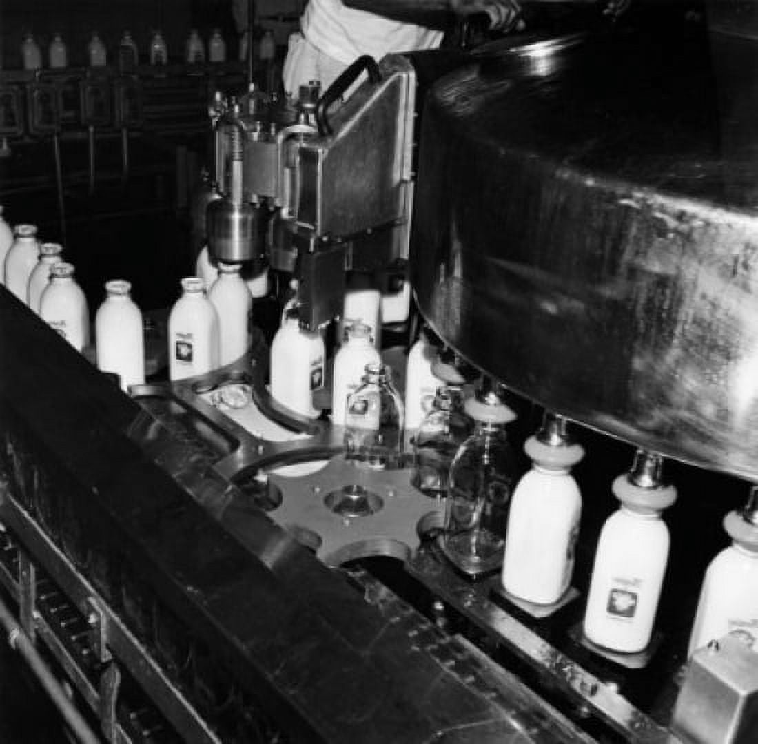 Milk bottles on a conveyor belt at a bottling plant Canvas Art - (18 x 24)