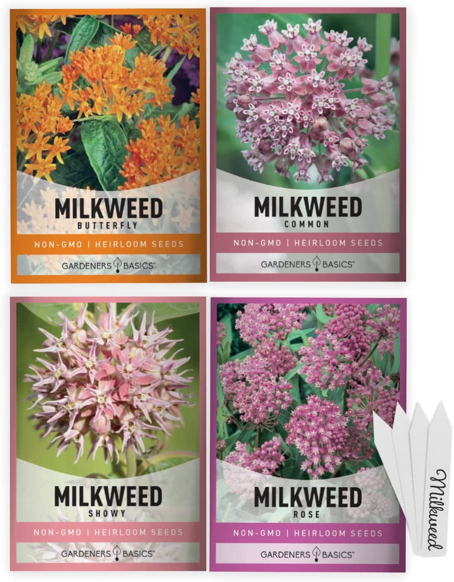 Milkweed Seeds For Monarch Butterflies (4 Variety Pack) Common, Showy