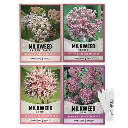 Milkweed Seeds for Monarch Butterflies | 4 Native Varieties