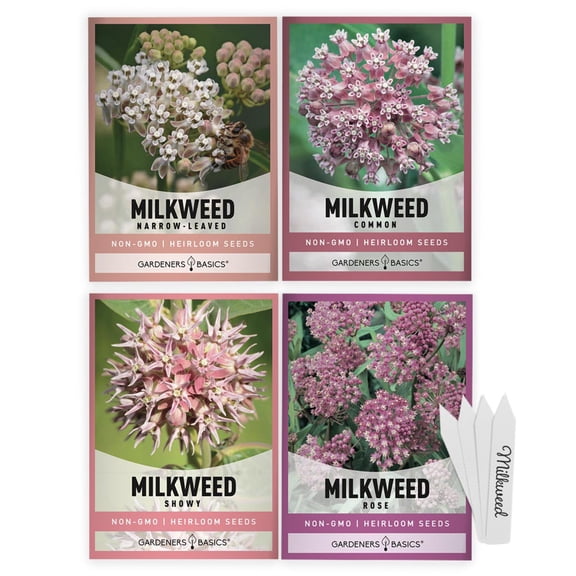 Milkweed Seeds for Monarch Butterflies | 4 Native Varieties