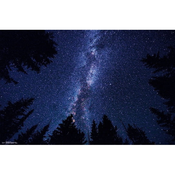 Milky Way At Night Wall Poster, 22.375" x 34"