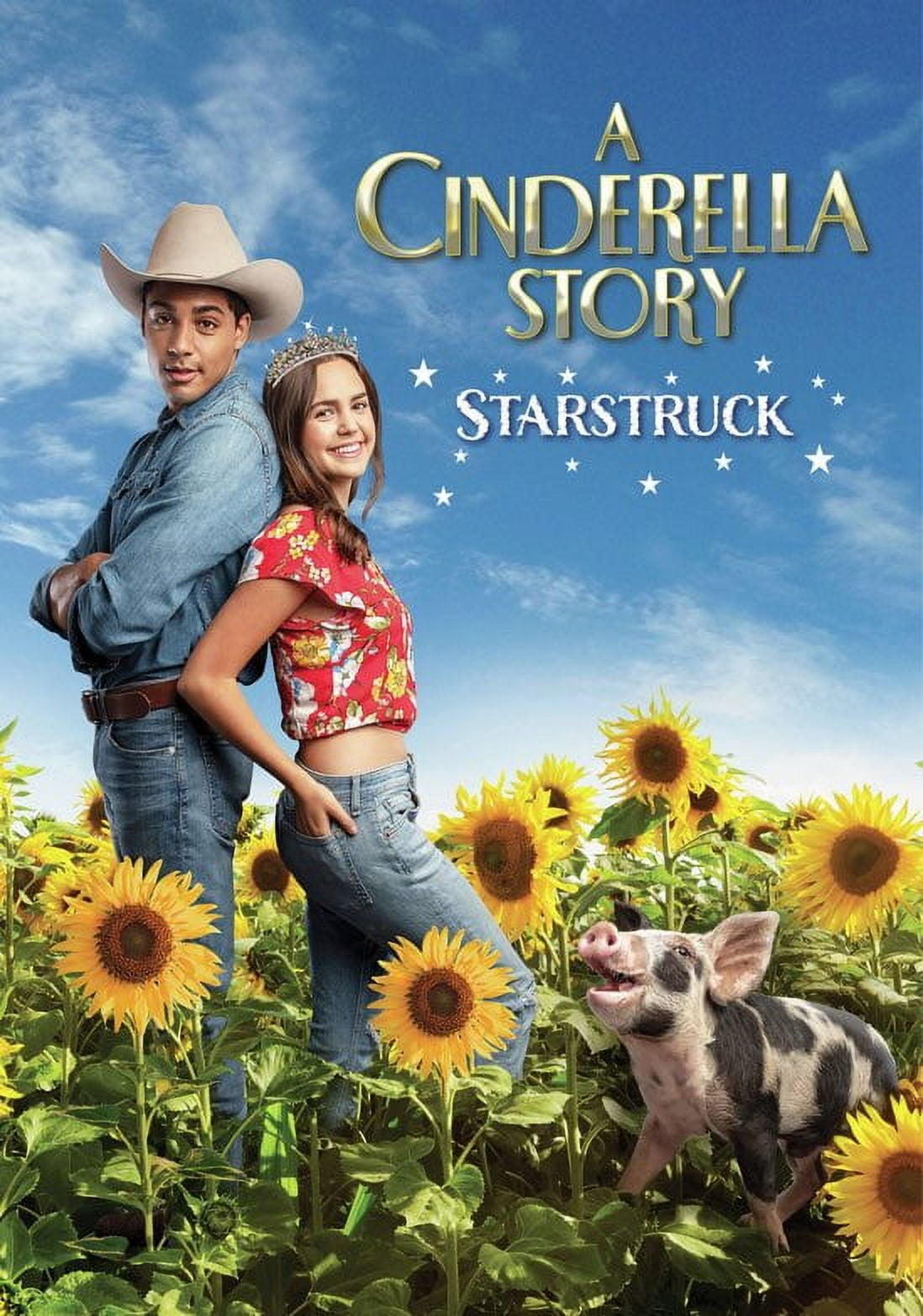 Mill Creek Botanicals A Cinderella Story: Starstruck (DVD)