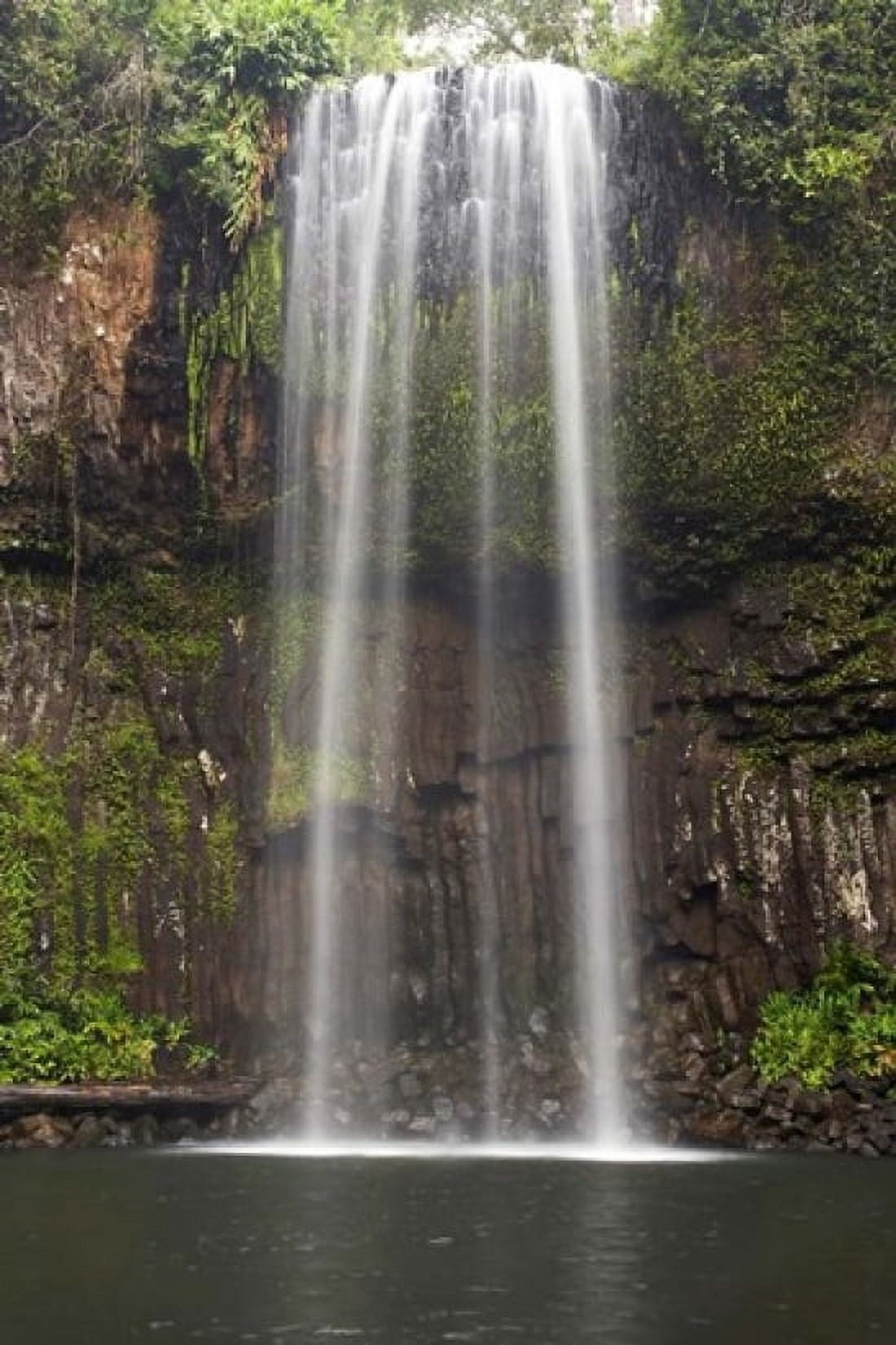 Millaa Millaa Falls Queensland Australia Canvas Art - David Wall DanitaDelimont (24 x 36)