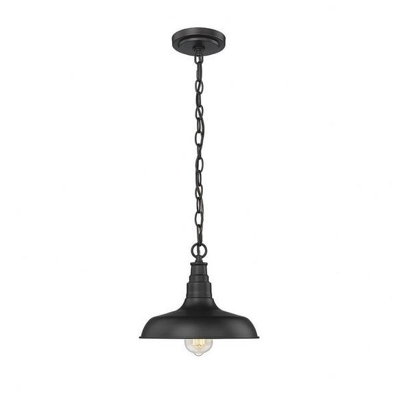 Millennium Lighting 1 Light Outdoor Pendant Light Fixture Powder Coat Black