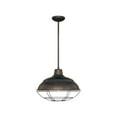 thumbnail image 1 of Millennium Lighting - 1 Light Pendant-51.13 Inches Tall and 17.25 Inches, 1 of 2