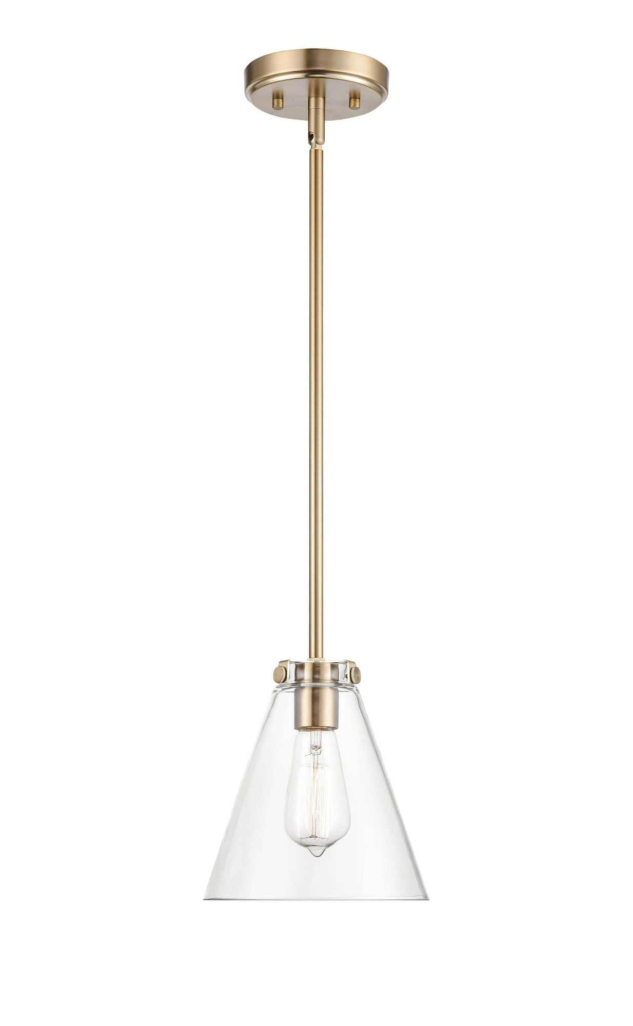8131-MG Millennium Lighting Aliza - 1 Light Mini-Pendant-38.25 Inch ...