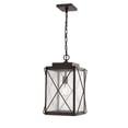 thumbnail image 1 of Millennium Lighting  Robinson 1 Light Metal Outdoor Hanging Lantern With Clear Seeded Glass Shades Powder Coat Bronze Bronze Painted,Brushed, 1 of 3