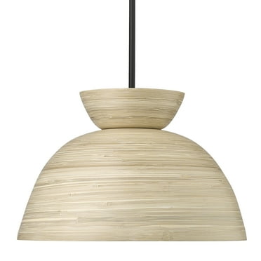 Millennium Lighting 48001 Jaycen 16" Wide Pendant - Black