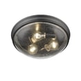 thumbnail image 1 of Millennium Lighting 5229 3 Light 14" Wide Flush Mount Bowl Ceiling Fixture - Black, 1 of 5