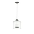 thumbnail image 1 of Millennium Lighting  Asheville 3 Light Pendant Fixture with Clear Glass Shades Matte Black, 1 of 5