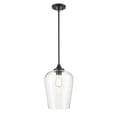 thumbnail image 1 of Millennium Lighting  Ashford 1 Light Mini-Pendant in Multiple Finishes with a Clear Glass Shade Matte Black Matte N/A, 1 of 9