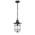 thumbnail image 1 of Millennium Lighting  Bolling 1 Light Outdoor Pendant Fixture with Clear Glass Shades Powder Coat Black, 1 of 5