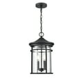 thumbnail image 1 of Millennium Lighting  Namath 2 Light Outdoor Hanging Lantern, 1 of 5