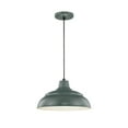 thumbnail image 1 of RWHC14-SG-Millennium Lighting-R Series - 1 Light Cord Hung Warehouse Pendant-8.25 Inch Tall and 14 Inch Wide-Satin Green Finish    -Traditional, 1 of 2