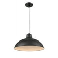 thumbnail image 1 of Millennium Lighting  R Series 17" Metal Cord Hung Warehouse LED Indoor Outdoor Pendant Light Satin Black Satin Painted, 1 of 4