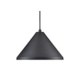 thumbnail image 1 of Millennium Lighting RWCC13-SB R Series 13" Wide Pendant - Black, 1 of 6