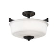 thumbnail image 1 of Millennium Lighting Semi-Flush Ceiling Mount, 1 of 4