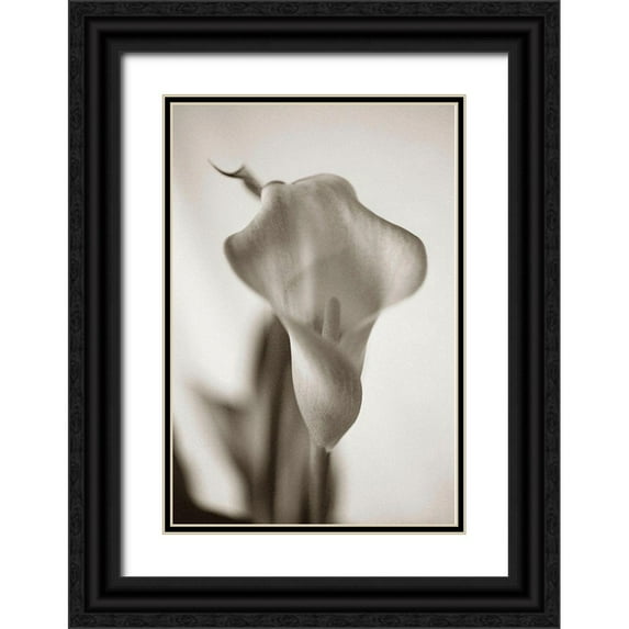 Miller, Anna 13x18 Black Ornate Wood Framed with Double Matting Museum Art Print Titled - Sepia tone Calla Lily
