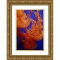 thumbnail image 1 of Miller, Anna 13x18 Gold Ornate Wood Framed with Double Matting Museum Art Print Titled - Graceful Jellyfish in Aquarium, 1 of 4