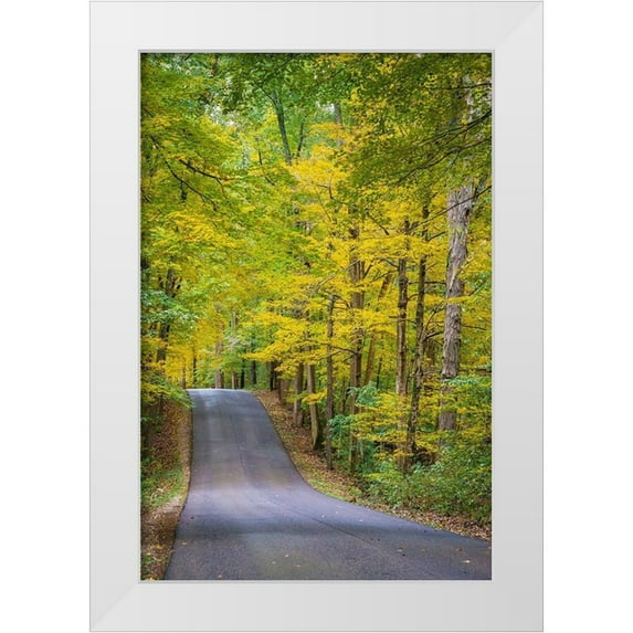 Miller, Anna 13x18 White Modern Wood Framed Museum Art Print Titled - Curvy Road in Clifty Creek Park-Southern Indiana