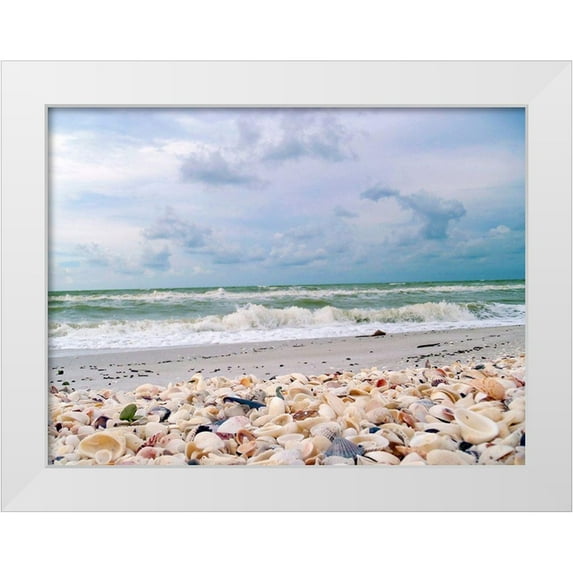 Miller, Anna 14x12 White Modern Wood Framed Museum Art Print Titled - Bounty of Shells on Beaches of Sanibel Island-Florida-USA