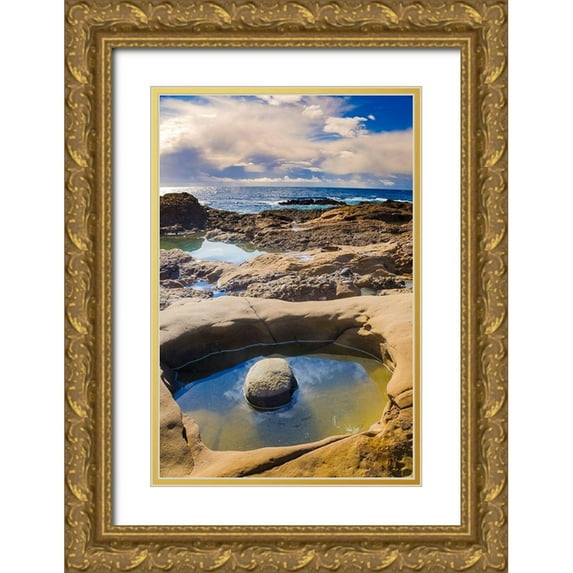 Miller, Anna 17x24 Gold Ornate Wood Framed with Double Matting Museum Art Print Titled - Tidepool-Point Lobos State Natural Reserve-California-USA