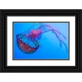 thumbnail image 1 of Miller, Anna 18x13 Black Ornate Wood Framed with Double Matting Museum Art Print Titled - Graceful Jellyfish in Aquarium, 1 of 4