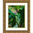 thumbnail image 1 of Miller, Anna 19x24 Gold Ornate Wood Framed with Double Matting Museum Art Print Titled - Florida- Woodpecker among Banana Leaves, 1 of 4