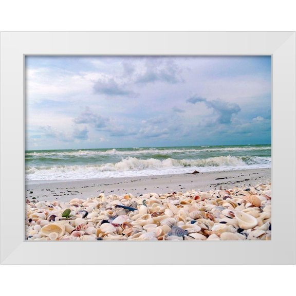 Miller, Anna 24x19 White Modern Wood Framed Museum Art Print Titled - Bounty of Shells on Beaches of Sanibel Island-Florida-USA