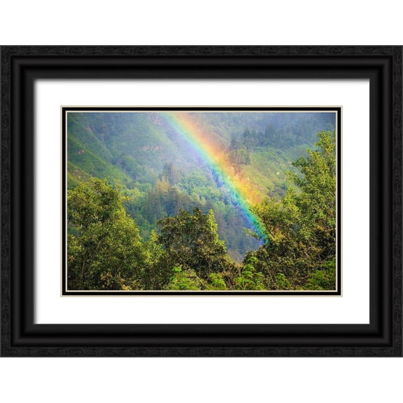 Miller, Anna 32x23 Black Ornate Wood Framed with Double Matting Museum Art Print Titled - Rainbow in Andrew Molera State Park-California-USA