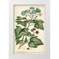 thumbnail image 1 of Miller, Dianne 10x14 White Modern Wood Framed Museum Art Print Titled - Chambray Botanical I, 1 of 4