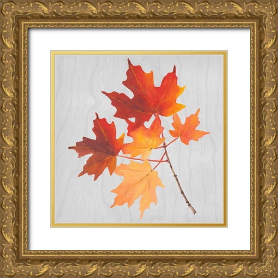 Miller, Dianne 15x15 Gold Ornate Wood Framed with Double Matting Museum Art Print Titled - Autumn Leaves IV