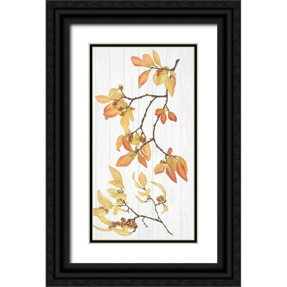 Miller, Dianne 15x24 Black Ornate Wood Framed with Double Matting Museum Art Print Titled - Sweet Foliage Collection B