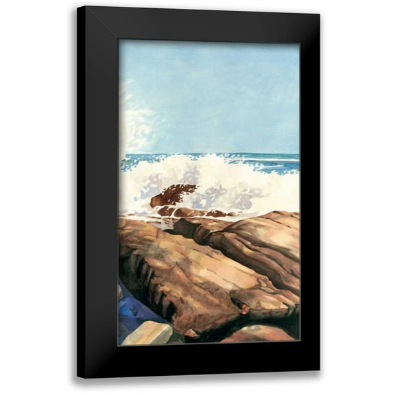 Miller, Dianne 16x24 Black Modern Framed Museum Art Print Titled - Sea Spray II