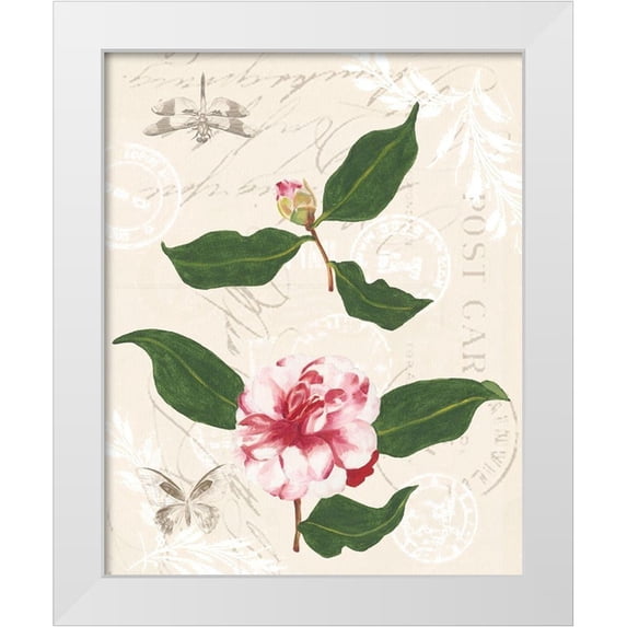 Miller, Dianne 20x24 White Modern Wood Framed Museum Art Print Titled - Diannes Camelias III