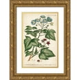 thumbnail image 1 of Miller, Dianne 22x32 Gold Ornate Wood Framed with Double Matting Museum Art Print Titled - Chambray Botanical I, 1 of 4